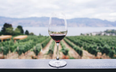 Découvrez tout sur les vins de Bordeaux en primeurs